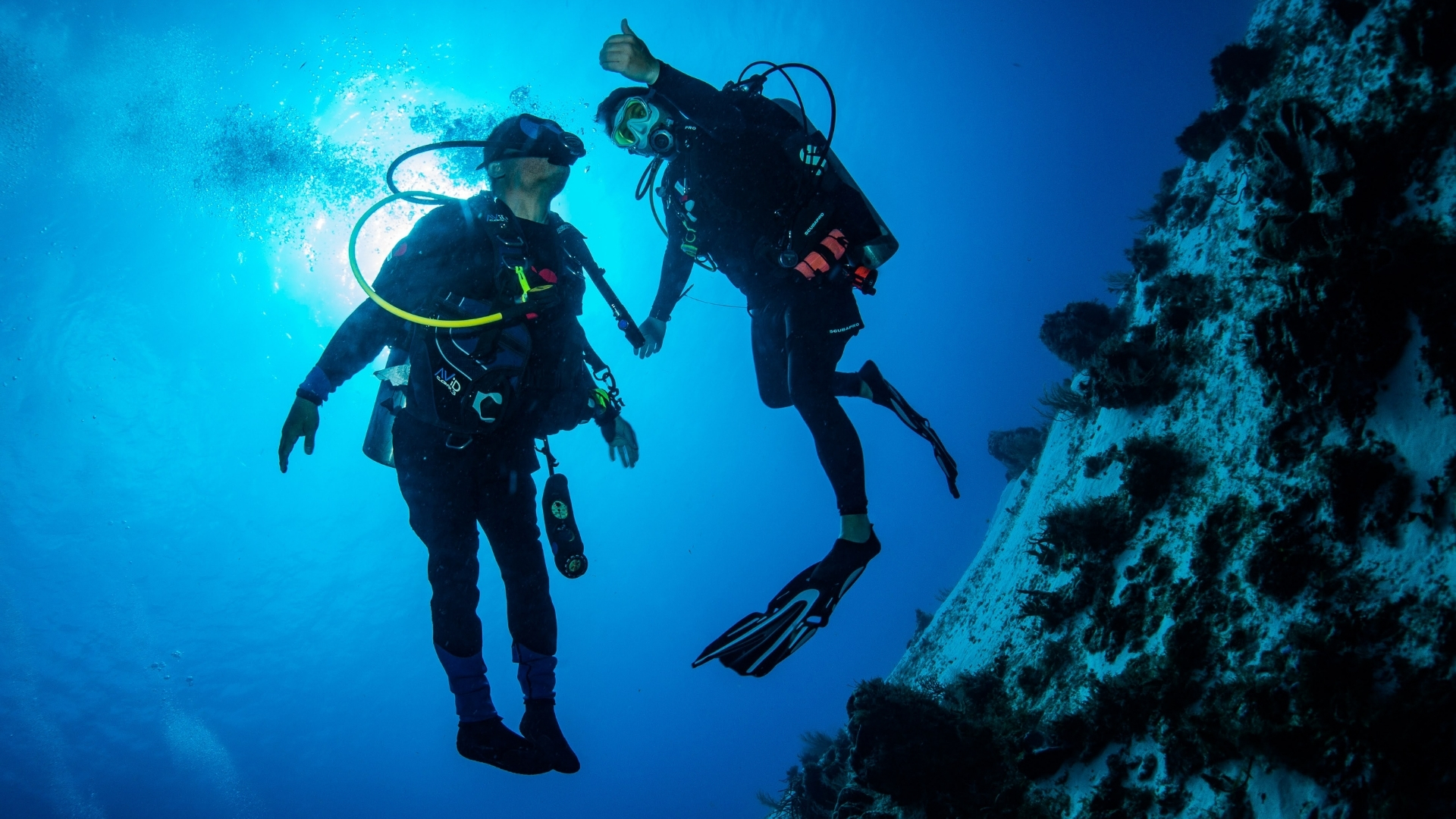 Diver with disability and dive buddy enjoying underwater freedom through scuba therapy