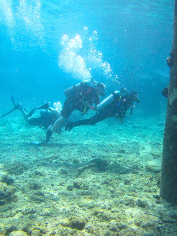 Adaptive scuba therapy helping diver experience freedom underwater