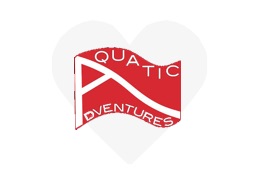 Quatic
